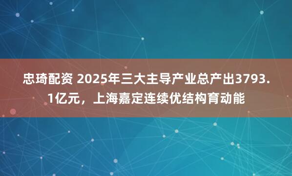 忠琦配资 2025年三大主导产业总产出3793.1亿元，上海嘉定连续优结构育动能