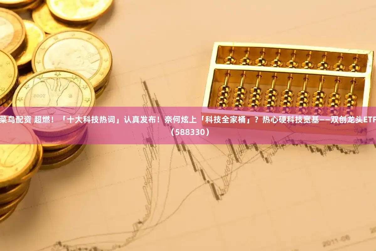 菜鸟配资 超燃！「十大科技热词」认真发布！奈何炫上「科技全家桶」？热心硬科技宽基——双创龙头ETF（588330）
