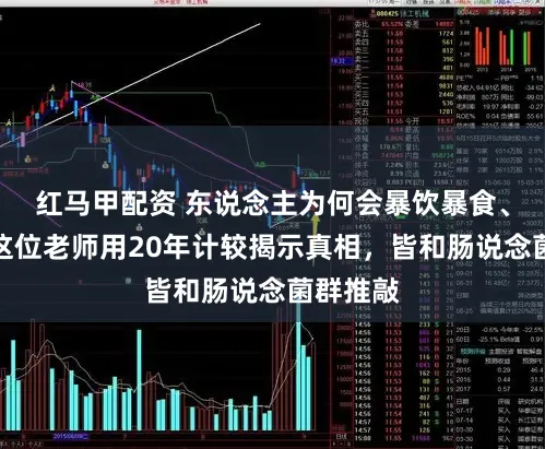 红马甲配资 东说念主为何会暴饮暴食、发胖？这位老师用20年计较揭示真相，皆和肠说念菌群推敲