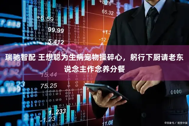 瑞驰智配 王想聪为生病宠物操碎心，躬行下厨请老东说念主作念养分餐