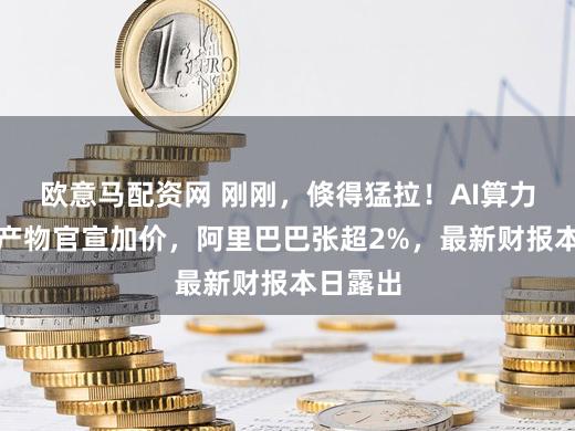 欧意马配资网 刚刚，倏得猛拉！AI算力和存储产物官宣加价，阿里巴巴张超2%，最新财报本日露出