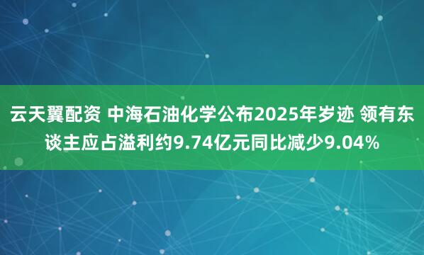云天翼配资 中海石油化学公布2025年岁迹 领有东谈主应占溢利约9.74亿元同比减少9.04%