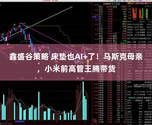 鑫盛谷策略 床垫也AI+了!马斯克母亲,小米前高管王腾带货