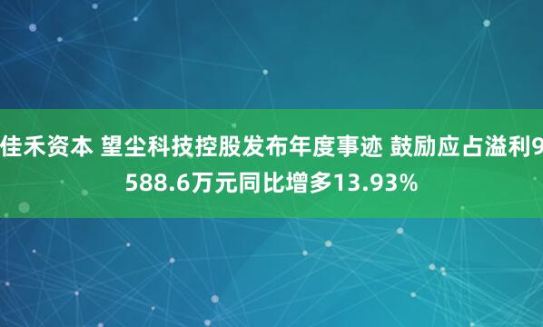 佳禾资本 望尘科技控股发布年度事迹 鼓励应占溢利9588.6万元同比增多13.93%
