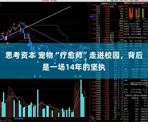 思考资本 宠物“疗愈师”走进校园，背后是一场14年的坚执