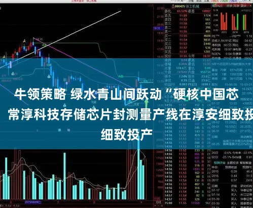 牛领策略 绿水青山间跃动“硬核中国芯”：常淳科技存储芯片封测量产线在淳安细致投产